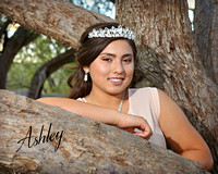 Ashley 15