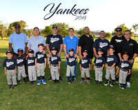 Yankees Baseball!